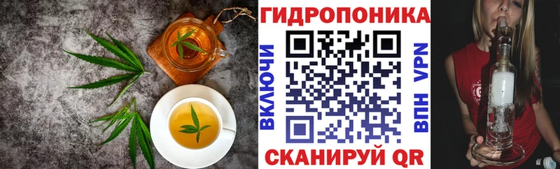 Cannafood конопля  Солнечногорск 