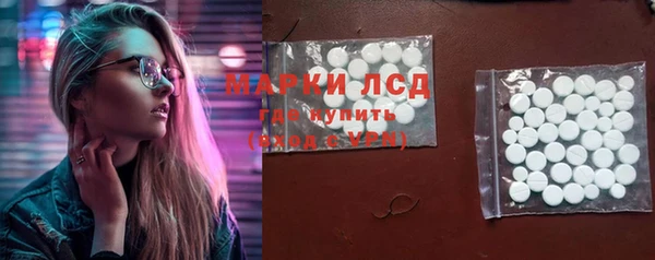 прущие грибы Михайловка