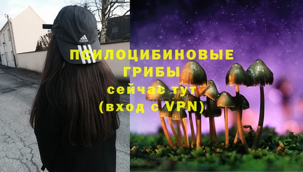 шишки Алексин