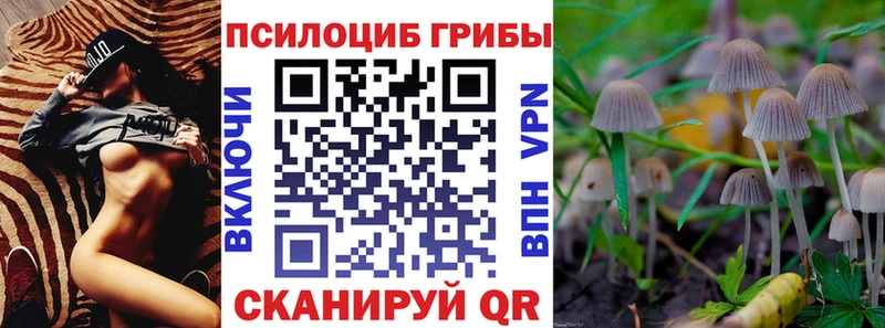 продажа наркотиков  Солнечногорск  Псилоцибиновые грибы ЛСД 